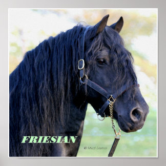 Friesisk Poster