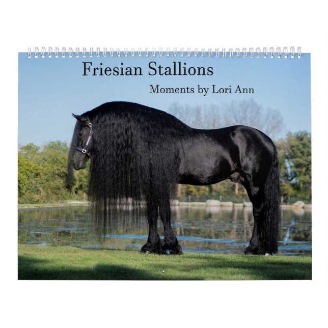 Friesisk stenkalender av Lori Ann Kalender (Omslag)