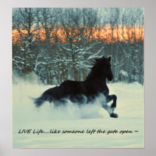 Friesisk vinter Frolic Poster