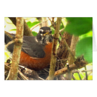 frifågel hälsningskort