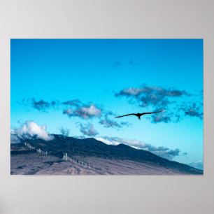 Frigatebird som poster över Maui-havet