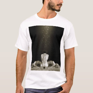 Frigör 2013 tee shirt