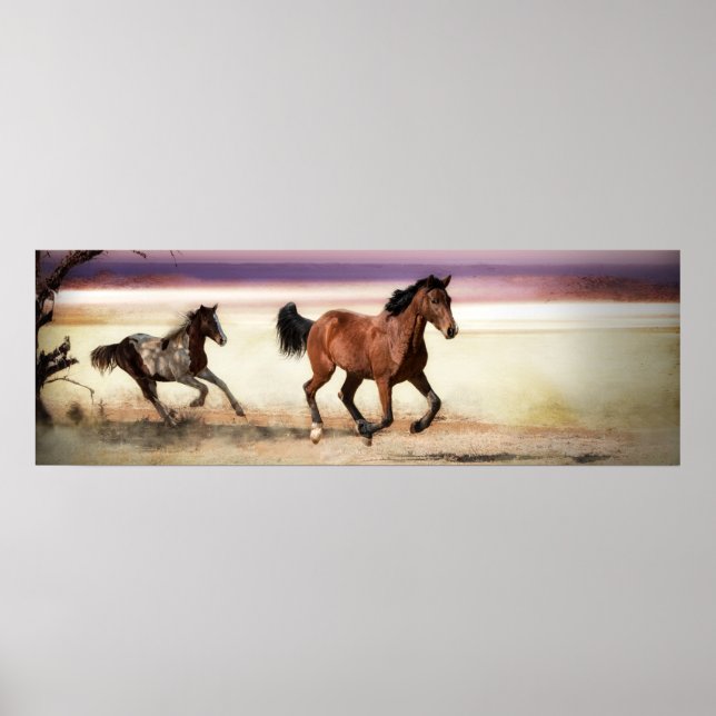 FRIHET ATT VARA VILDENS KÖRNINGSHORS POSTER (Framsidan)