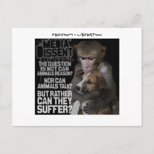 Frihet = Befrielse Vykort