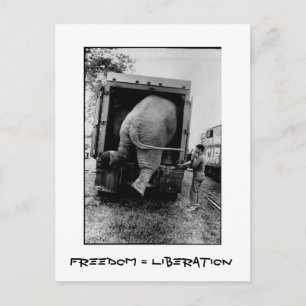 Frihet = befrielse vykort