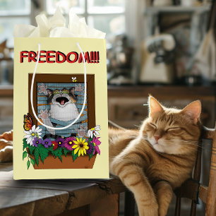 Frihet Flykt Rolig Katt Gul Blommig Fönster
