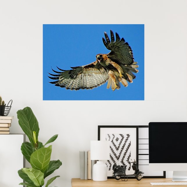 Frihet för den rödstjärtade hawk i Himlar Poster (Hemmakontoret)