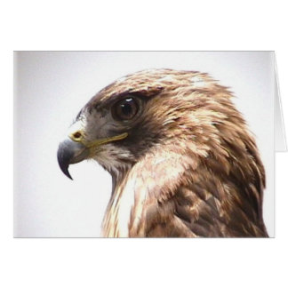 Frihet Hälsningskort