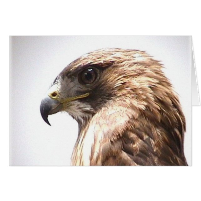 Frihet Hälsningskort (Framsidan Horizontal)