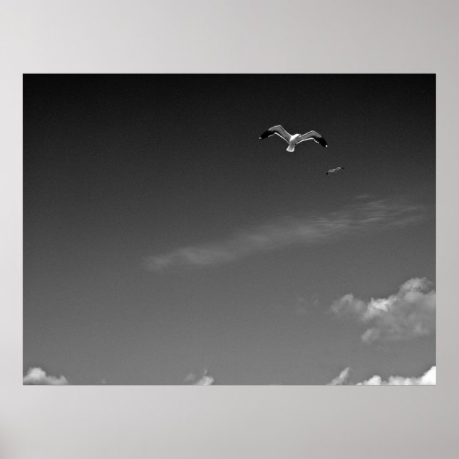 Frihet i BW Poster (Framsidan)