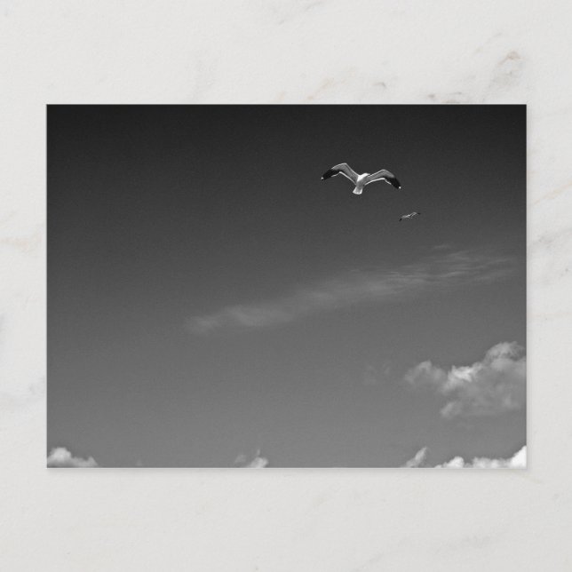 Frihet i BW-vykort Vykort (Framsida)