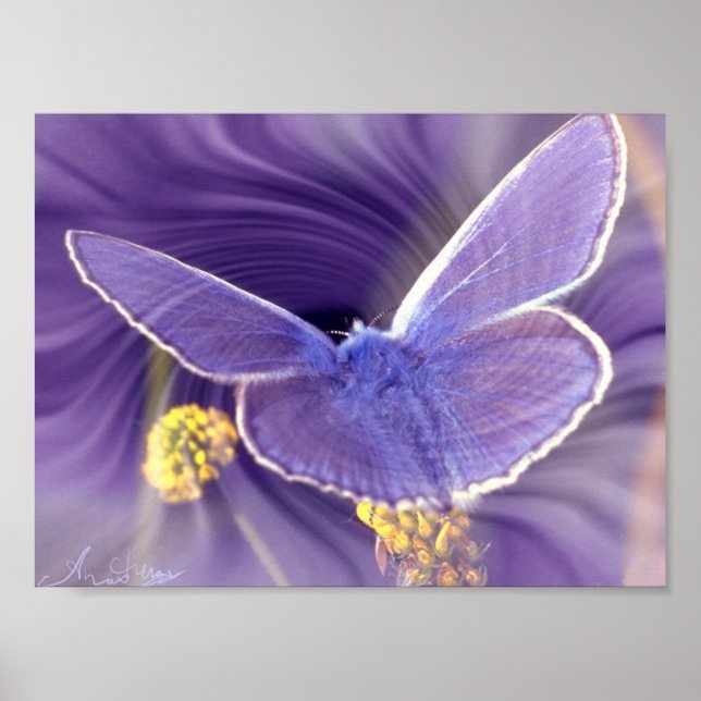 Frihet Poster (Framsidan)