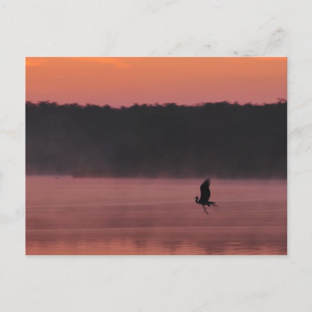 Frihet Vykort (Framsida)