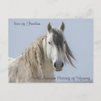 Frihetens Ikon - vykort