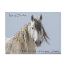 Frihetens Ikon - vykort