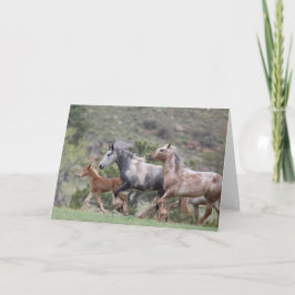 Frihetens Springa II: Galloping to Freedom Hälsnin Kort