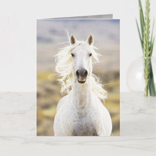 Frihets hälsningskort för "Call Vild Horse" Kort