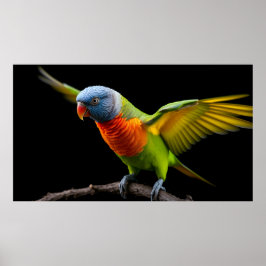 🌈 Frihetsflygning Lorikit - Dynamisk Regnbåge Poster
