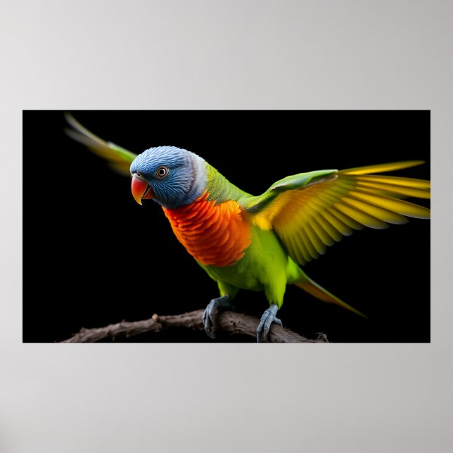 🌈 Frihetsflygning Lorikit - Dynamisk Regnbåge Poster (Framsidan)