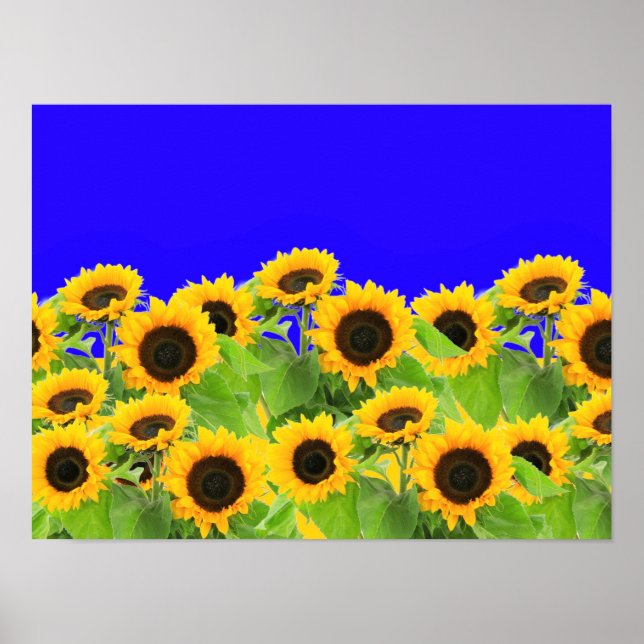 Frihetsfreden i Ukraina - Ukrainas Flagga Solblomm Poster (Framsidan)
