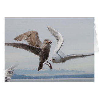 Frihetsfristäder 2 hälsningskort