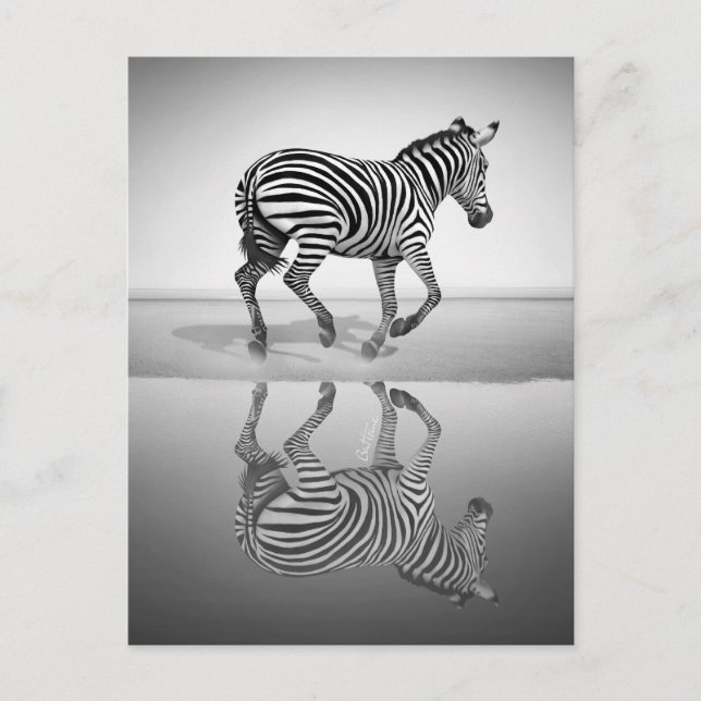 Frihetshavet Vykort (Framsida)