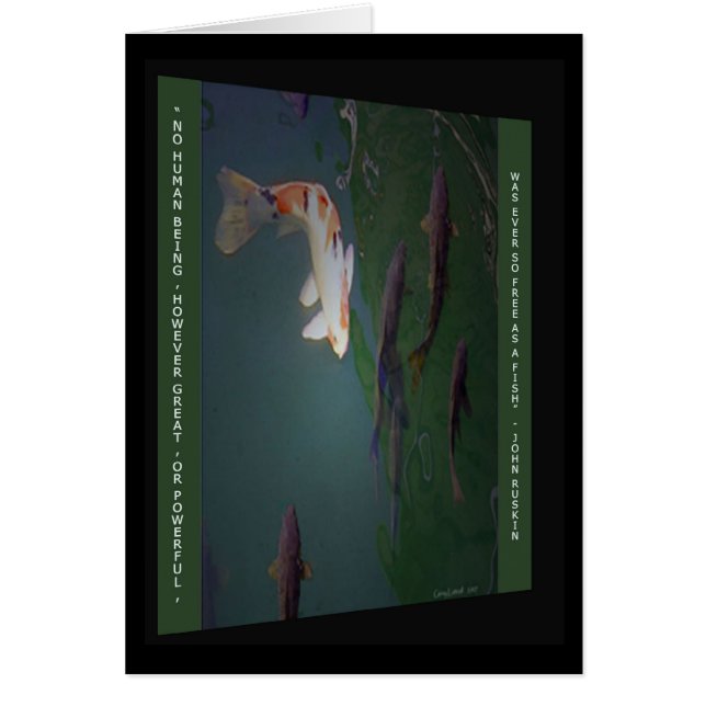 Frihetskort Hälsningskort (Framsidan)