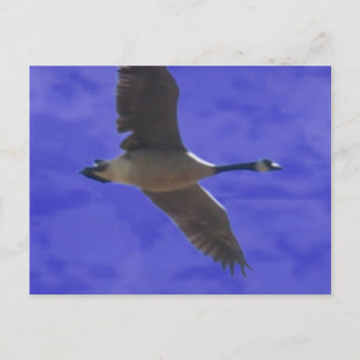 Frihetssamtal Vykort