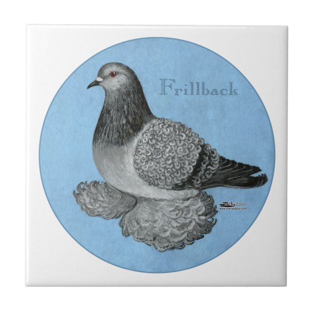 Frillback Blue Grizzle Pigeon Kakelplatta (Framsidan)