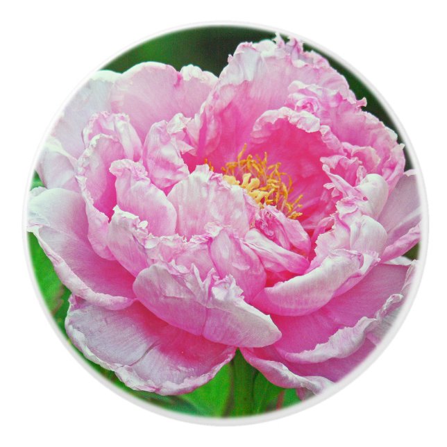 FRILLY ROSA PEONY KNOPP (Framsidan)