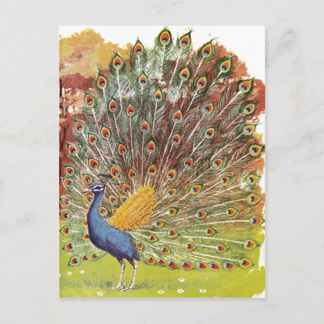 frimurare vykort (Framsida)