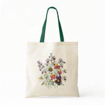 Fringeflowers och Velvet Trumpet Flowers