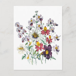 Fringeflowers och Velvet Trumpet Flowers Vykort