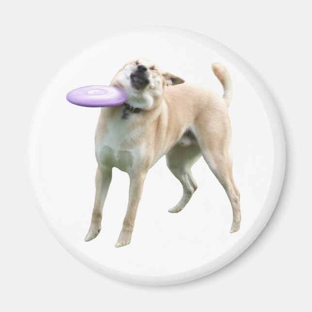 Frisbee Hund Meme Magnet (Framsidan)