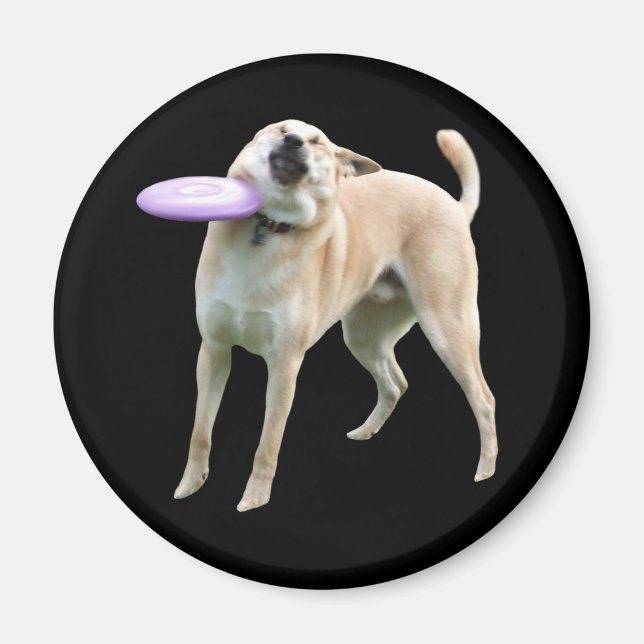 Frisbee Hund Meme Magnet (Framsidan)