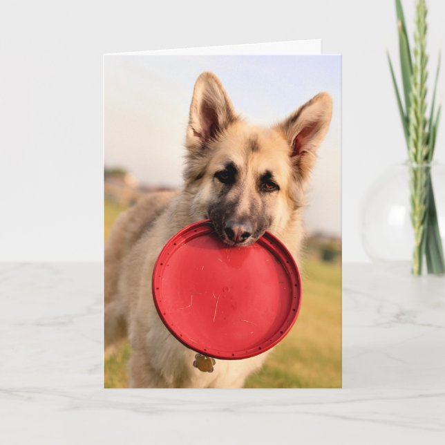 Frisbee Kort (Framsida)