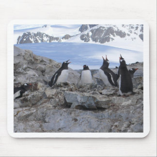 Frisersalongkvartett Musmatta