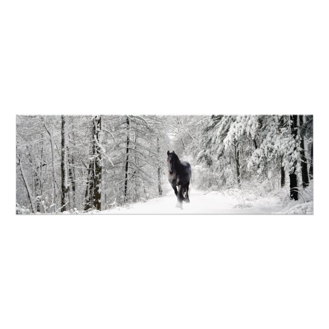 Frisisk DIAMOND VII - Fotoutskrift Fototryck (Framsidan)