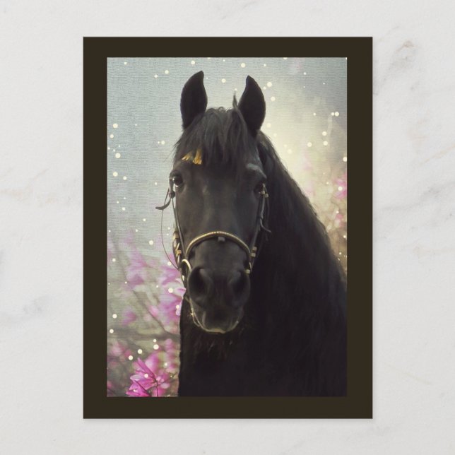 Frisisk DIAMOND - vykort (Framsida)