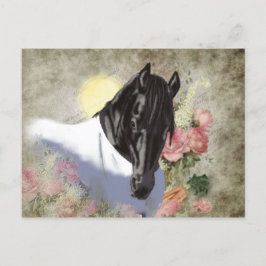 Frisisk DIAMOND - vykort