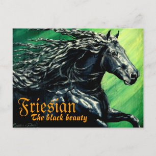 Frisiska, den svarta beuatan, hingst vykort