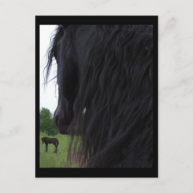 Frisiska vyvyvyvyvyvykort vykort (Framsida)