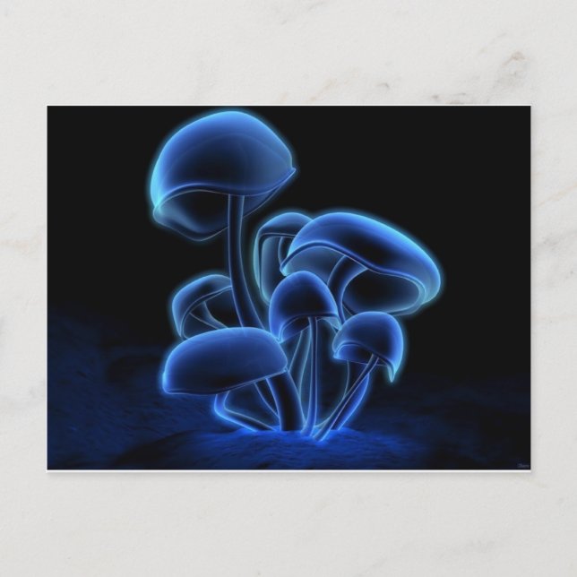 Frisk, Funky, Mode, Retro, Cool Vykort (Framsida)