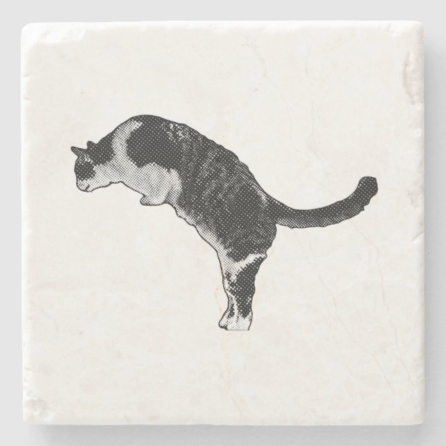 Frisk kattenergi stenunderlägg (Framsidan)