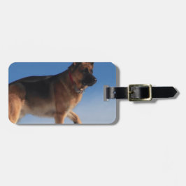 Frisk och glad tysk schäferhund bagagebricka