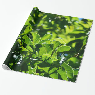 frisk vår, sommar gröna blad. Natur blomster Presentpapper