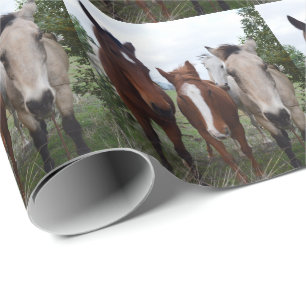 Frisky Hair: Frisky Hair: Delighful Horse Troubles Presentpapper