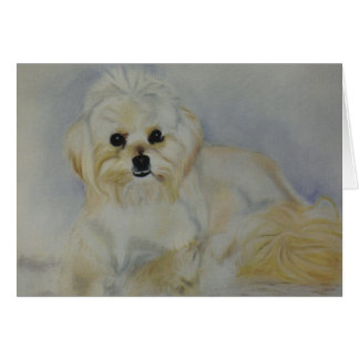 "Frisky" Hälsningskort