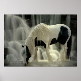 Frison, papier poster (mat)