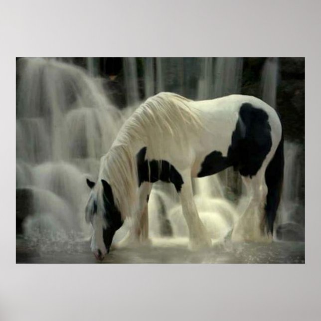 Frison, papier poster (mat) (Framsidan)